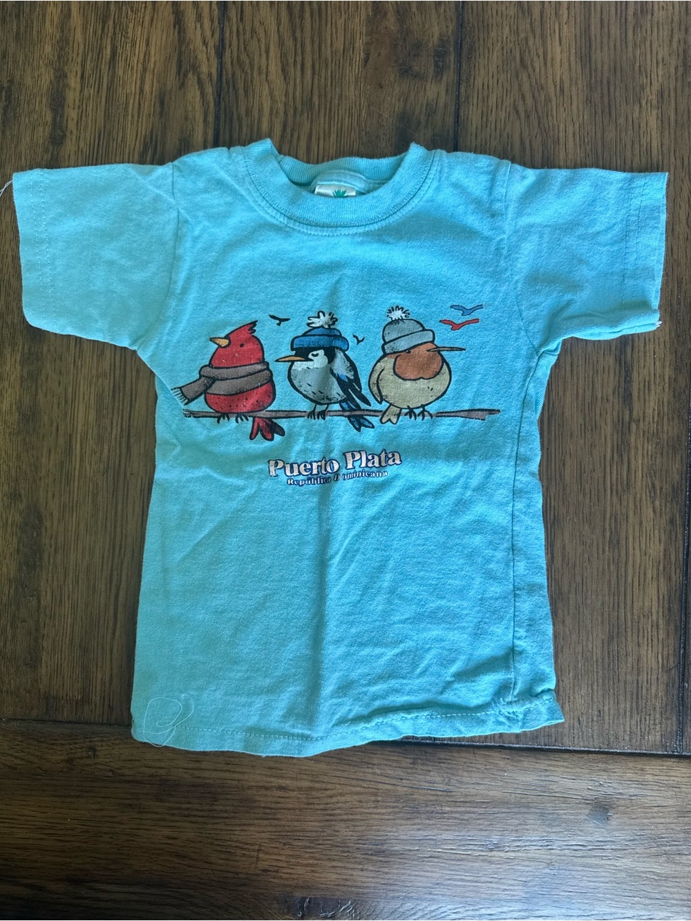 Kids Turquoise Bird Puerto Plata Tee